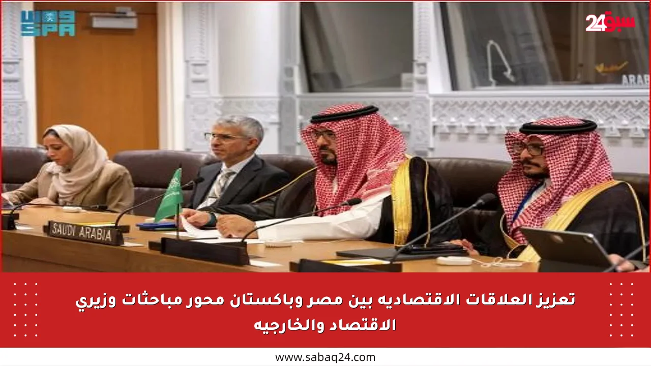 تعزيز العلاقات الاقتصادية بين مصر وباكستان محور مباحثات وزيري الاقتصاد والخارجية